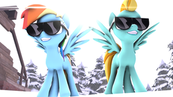 Size: 1920x1080 | Tagged: safe, artist:shamperin0, lightning dust, rainbow dash, g4, 3d, outdoors, smiling, snow, source filmmaker, sunglasses, swag, tree