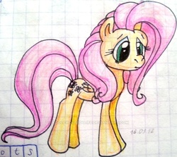 Size: 761x679 | Tagged: safe, artist:colossalstinker, fluttershy, g4, female, graph paper, solo, traditional art