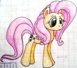 Size: 761x679 | Tagged: safe, artist:stinkek, fluttershy, g4, female, graph paper, solo, traditional art