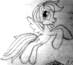 Size: 732x653 | Tagged: safe, artist:colossalstinker, rainbow dash, g3, g3.5, g4, female, g4 to g3.5, generation leap, monochrome, solo, traditional art