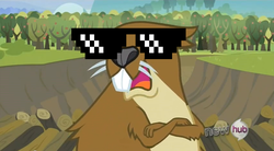 Size: 852x472 | Tagged: safe, edit, edited screencap, screencap, mr. beaverton beaverteeth, beaver, g4, keep calm and flutter on, my little pony: friendship is magic, deal with it, hub logo, sunglasses, swag glasses