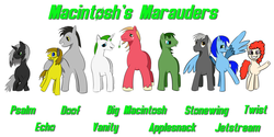 Size: 1280x640 | Tagged: safe, artist:datanassi, big macintosh, twist, oc, oc:applesnack, oc:deus, oc:doof, oc:echo, oc:jetstream, oc:psalm, oc:steelhooves, oc:stonewing, oc:vanity, earth pony, pony, fallout equestria, fallout equestria: project horizons, g4, line-up, macintosh's marauders, male, stallion