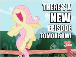 Size: 471x350 | Tagged: safe, fluttershy, pegasus, pony, g4, female, flying, happy, hub logo, hype, impact font, mare, new episode, solo, text, the hub