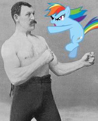 Size: 980x1207 | Tagged: safe, rainbow dash, g4, boxer, boxing, meme