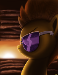 Size: 1985x2550 | Tagged: dead source, safe, artist:jeki, spitfire, pegasus, pony, g4, bust, female, mare, profile, reflection, solo, sunglasses, sunset