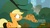 Size: 1663x925 | Tagged: safe, edit, screencap, applejack, g4, made in manehattan, my little pony: friendship is magic, season 5, applejack's damaged hat, applejack's hat, applejack's hat's death, bronclyn, destroyed, hat, manehattan, meme, park, rest in peace