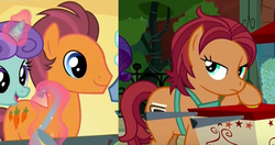 Size: 1345x709 | Tagged: safe, screencap, carrot stew, chock-full carafe, plum pop, winter mist, g4, made in manehattan, my little pony: friendship is magic, similarities