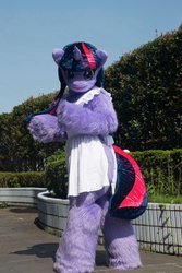 Size: 1024x1536 | Tagged: safe, artist:tashiroyu, twilight sparkle, human, g4, clothes, cosplay, costume, fursuit, irl, irl human, photo