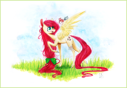 Size: 4546x3146 | Tagged: safe, artist:wirbelsaule, fluttershy, bird, g4, alternate hairstyle, bandage, bow, female, hair bow, solo, traditional art