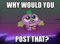Size: 541x398 | Tagged: safe, edit, edited screencap, screencap, spike, spike the regular dog, dog, equestria girls, g4, my little pony equestria girls: friendship games, caption, cute, image macro, male, meme, puppy dog eyes, reaction image, solo, text, why would you post that