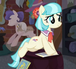 Size: 754x682 | Tagged: safe, screencap, coco pommel, earth pony, pony, g4, made in manehattan, coco's apartment, female, solo