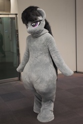Size: 512x768 | Tagged: safe, octavia melody, human, anthro, g4, clothes, cosplay, costume, fursuit, irl, irl human, photo