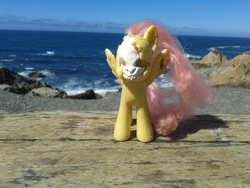 Size: 2560x1920 | Tagged: safe, artist:fonypan, fluttershy, g4, brushable, customized toy, irl, ocean, photo, photography, sculpture, toy