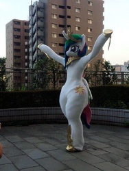 Size: 480x640 | Tagged: safe, artist:toki, princess celestia, human, g4, clothes, costume, fursuit, irl, irl human, photo, solo