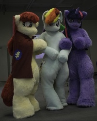 Size: 532x665 | Tagged: safe, artist:tashiroyu, apple bloom, rainbow dash, twilight sparkle, g4, fursuit, irl, photo