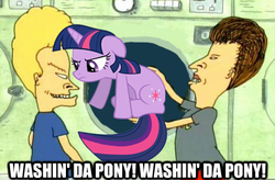 Size: 434x284 | Tagged: safe, screencap, twilight sparkle, g4, beavis, beavis and butthead, butthead, image macro, laundromat, meme, washing, washing machine