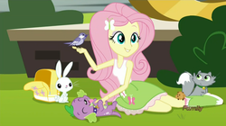 Size: 1366x765 | Tagged: safe, screencap, angel bunny, fluttershy, spike, spike the regular dog, bird, cat, dog, hamster, rabbit, equestria girls, g4, my little pony equestria girls: friendship games, backpack, boot, boots, clothes, discovery family logo, eyes closed, kitten, shoes, skirt, sock, socks