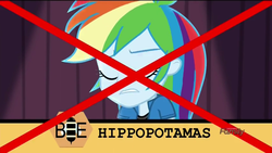 Size: 1366x768 | Tagged: source needed, safe, screencap, rainbow dash, hippopotamus, acadeca, equestria girls, g4, my little pony equestria girls: friendship games, embarrassed, fail, female, misspelling, spelling bee