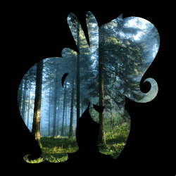 Size: 1000x1000 | Tagged: safe, artist:emerlees, fluttershy, g4, animated, female, forest, silhouette, solo