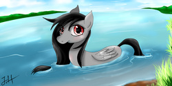 Size: 1574x787 | Tagged: safe, artist:dashy21, oc, oc only, duck pony, solo, water