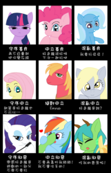 Size: 900x1400 | Tagged: safe, artist:hornydragon, applejack, big macintosh, derpy hooves, fluttershy, pinkie pie, rainbow dash, rarity, trixie, twilight sparkle, oc, oc:horny dragon, earth pony, pegasus, pony, unicorn, g4, alignment chart, chinese, female, male, mane six, mare, stallion, translation request