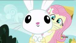 Size: 1920x1080 | Tagged: safe, screencap, angel bunny, fluttershy, equestria girls, g4, my little pony equestria girls: friendship games