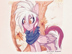 Size: 1280x960 | Tagged: safe, artist:answerskyrocket, oc, oc only, pegasus, pony, autumn, clothes, leaf, scarf, solo, traditional art