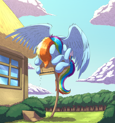 Size: 2159x2303 | Tagged: safe, artist:otakuap, rainbow dash, pegasus, pony, g4, behaving like a bird, behaving like a squirrel, bird feeder, cute, eating, female, forest, grass, grass field, high res, mare, partially open wings, rainbird dash, rainbow bird, scenery, silly, silly pony, solo, spread wings, wings