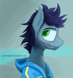 Size: 1194x1264 | Tagged: safe, artist:pacofreeman, soarin', pegasus, pony, g4, beard, clothes, hoodie, male, portrait, solo, stallion