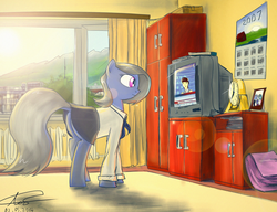 Size: 2560x1969 | Tagged: safe, artist:apocheck13, oc, oc only, earth pony, pony, butt, clothes, plot, russian, skirt, solo, television