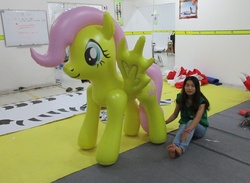 Size: 1269x930 | Tagged: safe, fluttershy, human, inflatable pony, g4, bootleg, china, chinese, hongyi, inflatable, inflatable pegasus, inflatable toy, irl, irl human, photo