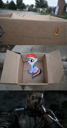 Size: 1323x2524 | Tagged: safe, rainbow dash, cyborg, human, pegasus, pony, fanfic:my little dashie, g4, big boss, cardboard box, cigar, clothes, dashie meme, exploitable meme, eyepatch, leather jacket, meme, metal gear, metal gear solid 5, punished snake, shrapnel, spoilers in the comments, venom snake