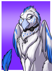 Size: 655x900 | Tagged: safe, artist:foxenawolf, oc, oc only, oc:techbird sunbeak, griffon, fanfic:a different perspective, blue eyes, blue feathers, fanfic art, female, goggles, solo