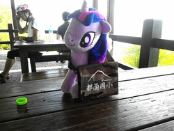 Size: 960x720 | Tagged: safe, artist:onlyfactory, twilight sparkle, g4, bootleg, chinese, irl, messenger bag, photo, plushie