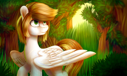 Size: 2500x1500 | Tagged: safe, artist:nightskrill, oc, oc only, forest, solo, sunlight