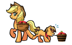 Size: 1024x640 | Tagged: safe, artist:kianamai, applejack, caramel, oc, oc:golden delicious, kilalaverse, g4, apple barrel, bandana, basket, colt, male, mama applejack, next generation, offspring, parent:applejack, parent:caramel, parents:carajack, saddle basket, simple background, white background, younger