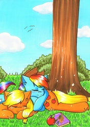 Size: 2322x3278 | Tagged: safe, artist:nana-yuka, applejack, rainbow dash, g4, accessory theft, apple, book, butt pillow, female, high res, lesbian, ship:appledash, shipping, snuggling, tree