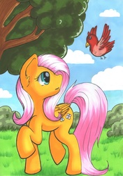 Size: 3273x4662 | Tagged: safe, artist:nana-yuka, fluttershy, bird, pegasus, pony, g4, female, folded wings, looking at something, looking up, mare, nature, outdoors, raised hoof, raised leg, solo, traditional art, tree, turned head, wings