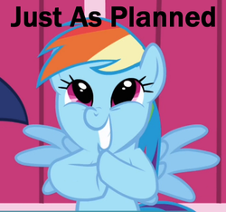 Size: 480x450 | Tagged: safe, screencap, rainbow dash, g4, faic, just as planned