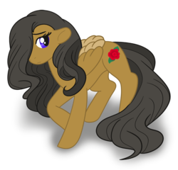 Size: 800x767 | Tagged: safe, artist:akuoreo, oc, oc only, oc:ebony (avats), pegasus, pony, fanfic:a voice among the strangers, black mane, brown fur, disguise, disguised changeling, simple background, solo, transparent background, vector