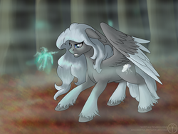 Size: 1600x1200 | Tagged: safe, artist:adalbertus, oc, oc only, oc:stormfront, pegasus, pony, solo, unshorn fetlocks