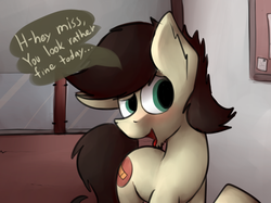 Size: 1280x955 | Tagged: safe, artist:marsminer, oc, oc only, oc:keith, pony, blushing, compliment, dialogue, male, smiling, solo, stallion