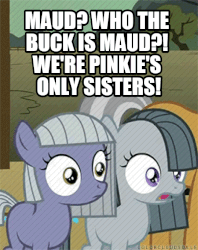 Size: 540x682 | Tagged: safe, edit, edited screencap, screencap, limestone pie, marble pie, maud pie, g4, animated, female, image macro, male, op is a duck, op is trying to start shit, pie family
