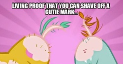 Size: 540x281 | Tagged: safe, edit, edited screencap, screencap, snails, snips, pony, unicorn, g4, ponyville confidential, butt, caption, colt, cutie mark, dock, duo, duo male, foal, male, plot, scissorbutt, shaved, shaved tail, snailbutt
