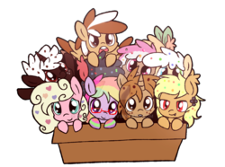 Size: 1024x763 | Tagged: safe, artist:amberlea-draws, oc, oc only, oc:smores, bat pony, earth pony, pegasus, pony, unicorn, adoptable, adopted, bat pony oc, box, colored wings, colored wingtips, cute, freckles, glasses, pony in a box, simple background, transparent background, weapons-grade cute