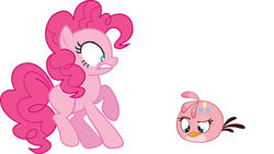 Size: 899x507 | Tagged: safe, pinkie pie, bird, cockatoo, earth pony, pony, g4, angry birds, angry birds stella, body swap, female, galah, mare, scared, simple background, stella (angry birds), white background