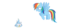 Size: 900x401 | Tagged: safe, rainbow dash, bird, pegasus, pony, g4, angry birds, angry birds stella, body swap, california scrub jay, flying, luca (angry birds), scrub jay