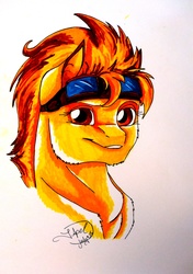 Size: 1419x2021 | Tagged: safe, artist:artmadebyred, spitfire, g4, bust, female, goggles, portrait, solo, traditional art