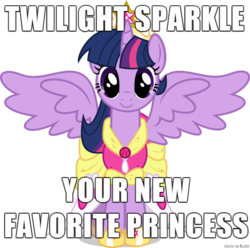 Size: 610x606 | Tagged: safe, twilight sparkle, alicorn, pony, g4, best princess, female, image macro, mare, meme, opinion, twilight sparkle (alicorn)