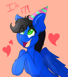 Size: 608x683 | Tagged: safe, artist:kittensneezikuns, oc, oc only, oc:sweet sound, pegasus, pony, birthday, birthday gift, cute, derp, ear fluff, happy, hat, heart, long mane, male, party hat, solo, text